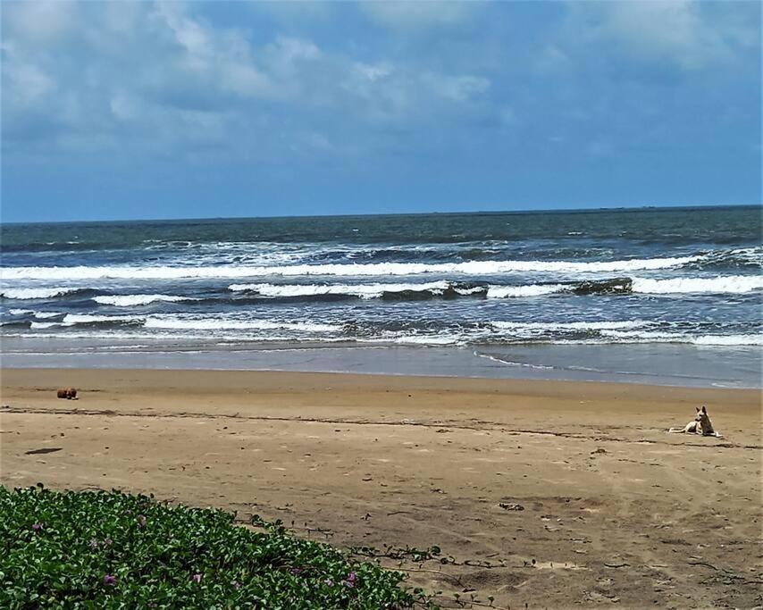 Cockerel Homestay - Traditional Beach Village - Goa Canacona Exterior foto