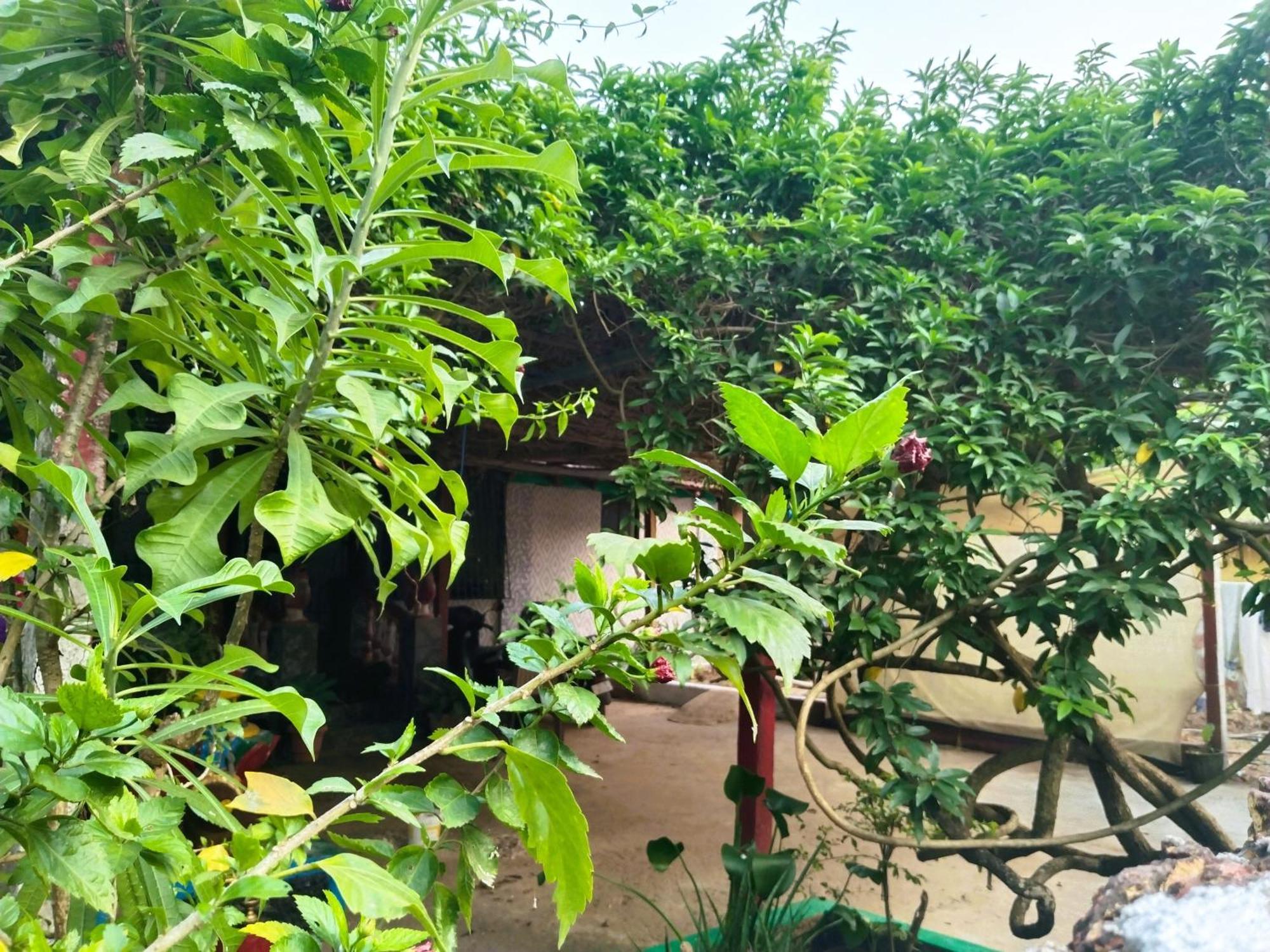 Cockerel Homestay - Traditional Beach Village - Goa Canacona Exterior foto